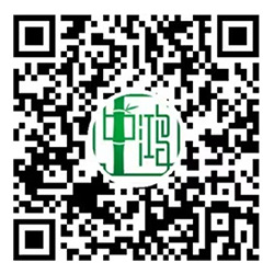 官方网站